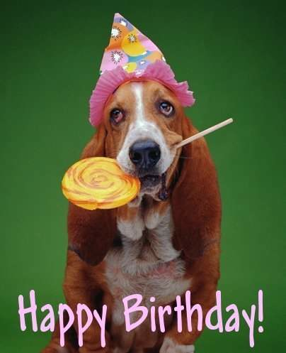 Puppy Birthday Cake on Tagged Birthday Dog Hat Lollypop Leave A Reply Cat And Birthday Cake